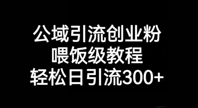公域引流创业粉，喂饭级教程，轻松日引流300+【揭秘】-kk网创
