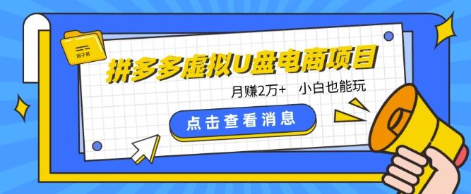 拼多多虚拟U盘电商红利项目：月赚2万+，新手小白也能玩-kk网创