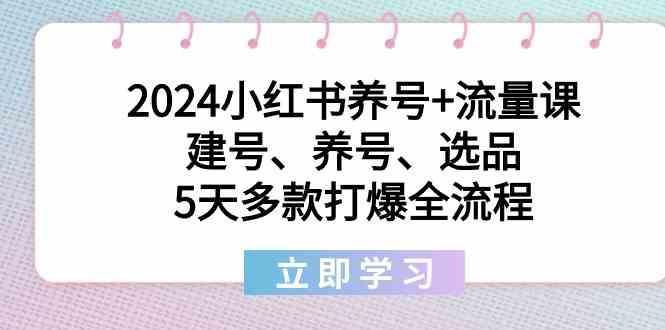 2024小红书养号+流量课：建号、养号、选品，5天多款打爆全流程-kk网创