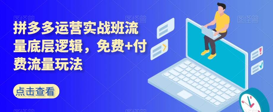 拼多多运营实战班流量底层逻辑，免费+付费流量玩法-kk网创