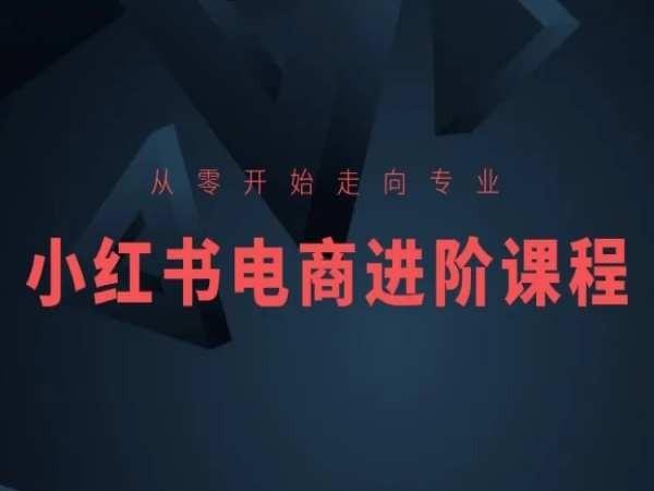 从零开始走向专业，小红书电商进阶课程-kk网创