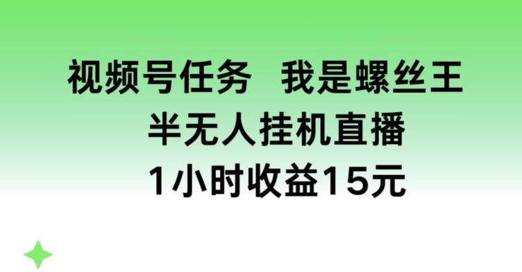 视频号任务，我是螺丝王， 半无人挂机1小时收益15元【揭秘】-kk网创