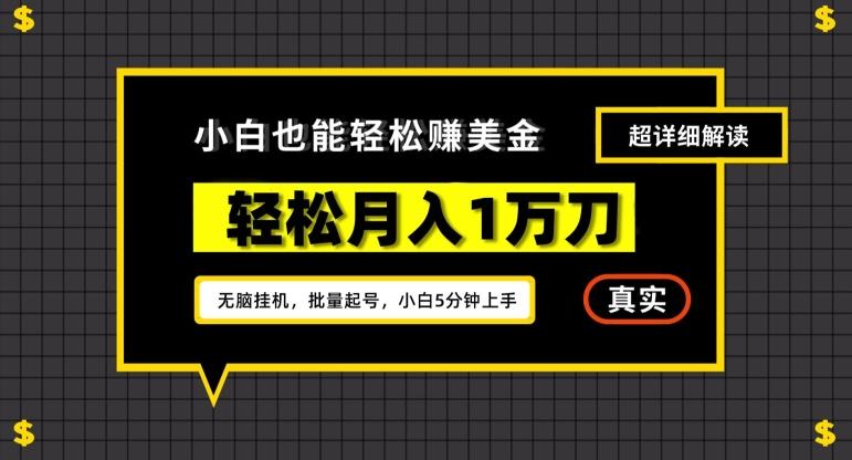 谷歌看广告撸美金2.0，无脑挂机，多号操作，月入1万刀【揭秘】-kk网创