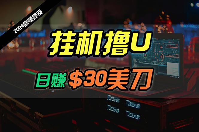 (10013期)日赚30美刀，2024最新海外挂机撸U内部项目，全程无人值守，可批量放大-kk网创