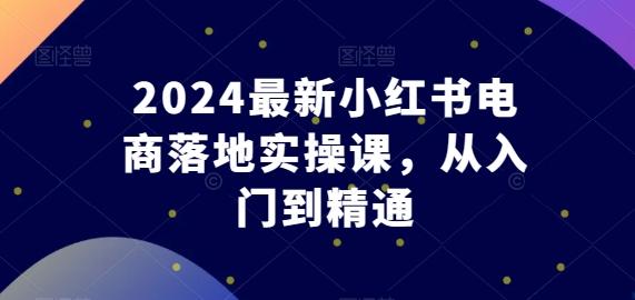 2024最新小红书电商落地实操课，从入门到精通-kk网创