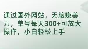 通过国外网站，无脑赚美刀，单号每天300+可放大操作，小白轻松上手【揭秘】-kk网创