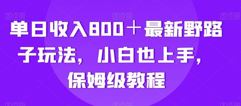 单日收入800＋最新野路子玩法，小白也上手，保姆级教程-kk网创