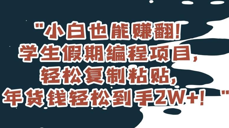 小白也能赚翻！学生假期编程项目，轻松复制粘贴，年货钱轻松到手2W+【揭秘】-kk网创