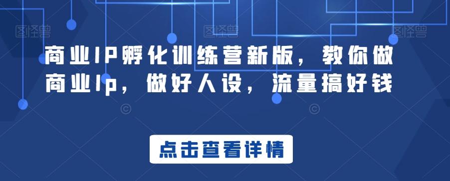 商业IP孵化训练营新版，教你做商业Ip，做好人设，流量搞好钱-kk网创
