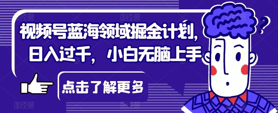 视频号蓝海领域掘金计划，日入过千，小白无脑上手【揭秘】-kk网创