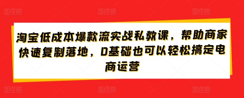 淘宝低成本爆款流实战私教课，帮助商家快速复制落地，0基础也可以轻松搞定电商运营-kk网创