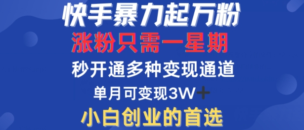 快手暴力起万粉，涨粉只需一星期，多种变现模式，直接秒开万合，单月变现过W【揭秘】-kk网创