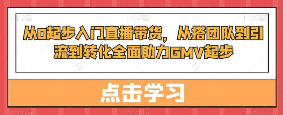 从0起步入门直播带货，​从搭团队到引流到转化全面助力GMV起步-kk网创