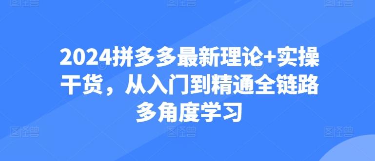 2024拼多多最新理论+实操干货，从入门到精通全链路多角度学习-kk网创