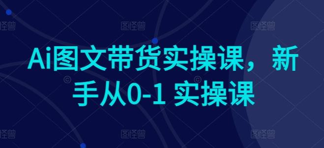 Ai图文带货实操课，新手从0-1 实操课-kk网创