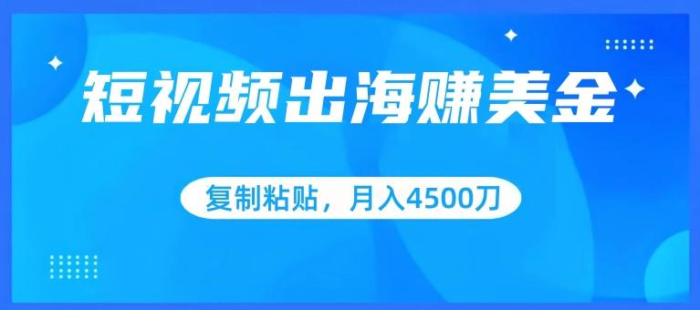 短视频出海赚美金，复制粘贴批量操作，小白轻松掌握，月入4500美刀【揭秘】-kk网创