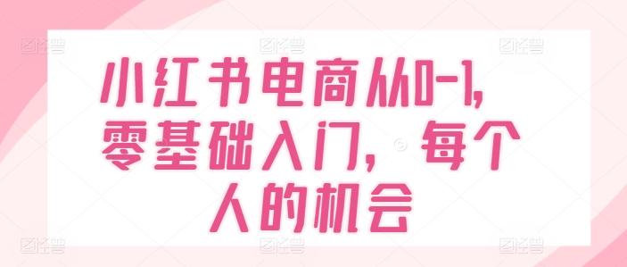 小红书电商从0-1，零基础入门，每个人的机会-kk网创