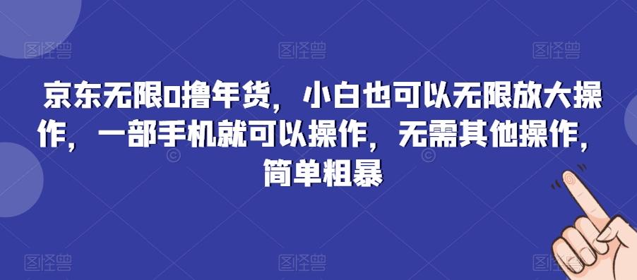 京东无限0撸年货，小白也可以无限放大操作，一部手机就可以操作，无需其他操作，简单粗暴-kk网创