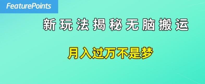 简单操作，每天50美元收入，搬运就是赚钱的秘诀【揭秘】-kk网创