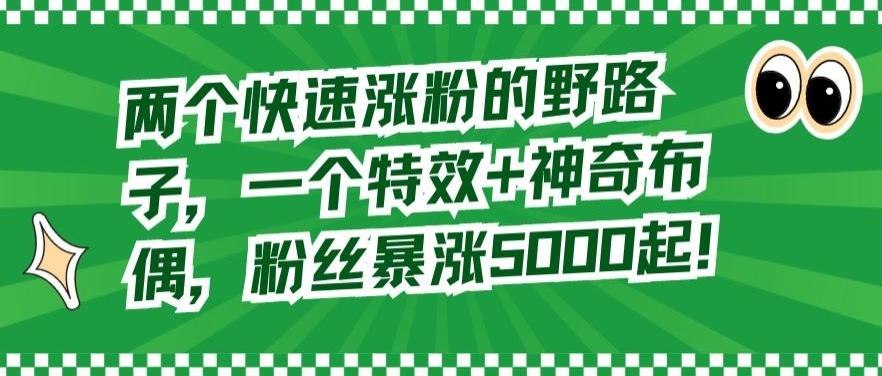 两个快速涨粉的野路子，一个特效+神奇布偶，粉丝暴涨5000起【揭秘】-kk网创