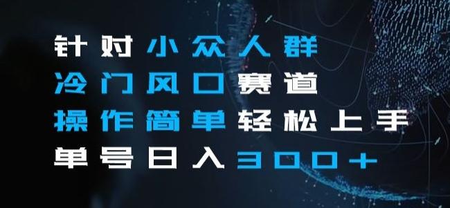 针对小众人群冷门风口赛道，操作简单轻松上手单号日入300+-kk网创