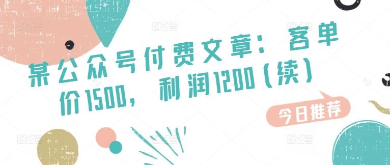 某公众号付费文章：客单价1500，利润1200(续)，市场几乎可以说是空白的-kk网创