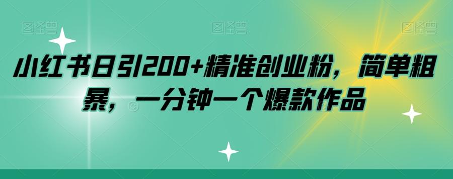 小红书日引200+精准创业粉，简单粗暴，一分钟一个爆款作品【揭秘】-kk网创
