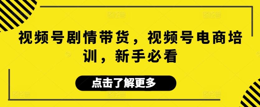 视频号剧情带货，视频号电商培训，新手必看-kk网创