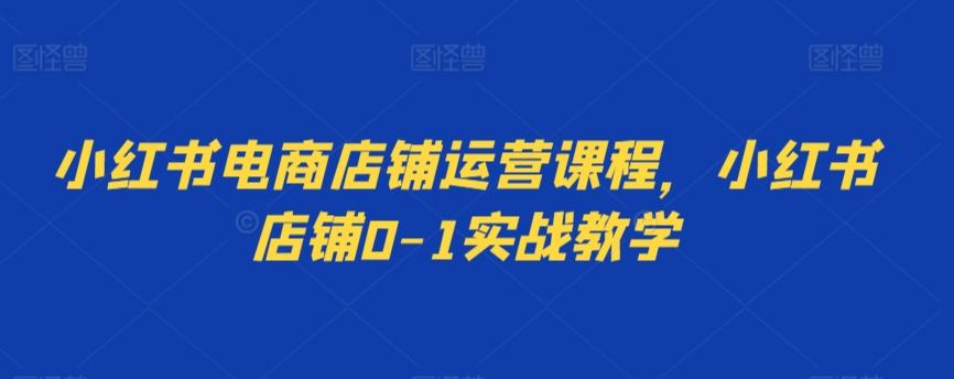 小红书电商店铺运营课程，小红书店铺0-1实战教学-kk网创