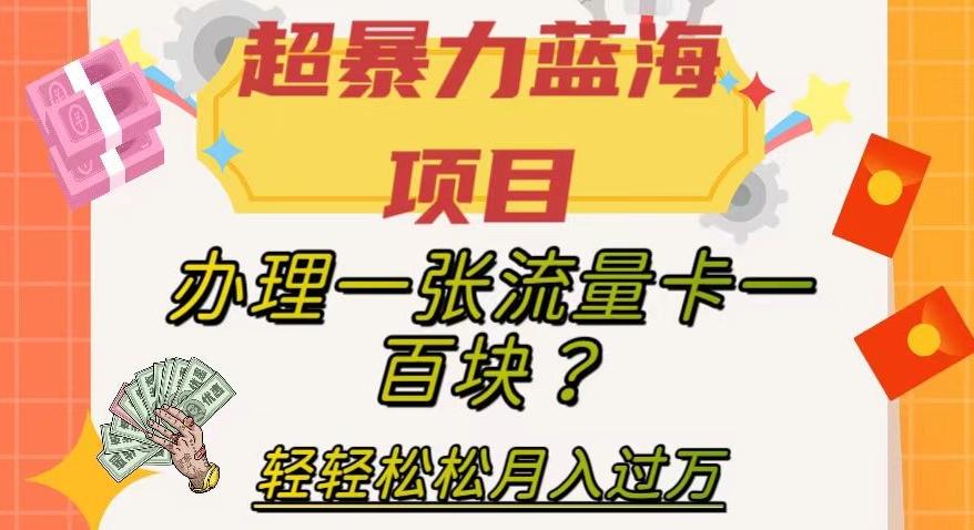 超暴力蓝海项目，办理一张流量卡一百块？轻轻松松月入过万，保姆级教程【揭秘】-kk网创