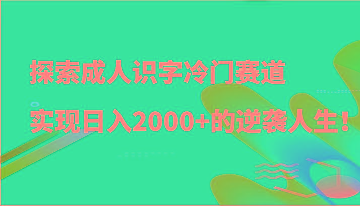 探索成人识字冷门赛道，实现日入2000+的逆袭人生！-kk网创