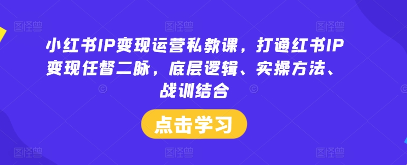 小红书IP变现运营私教课，打通红书IP变现任督二脉，底层逻辑、实操方法、战训结合-kk网创
