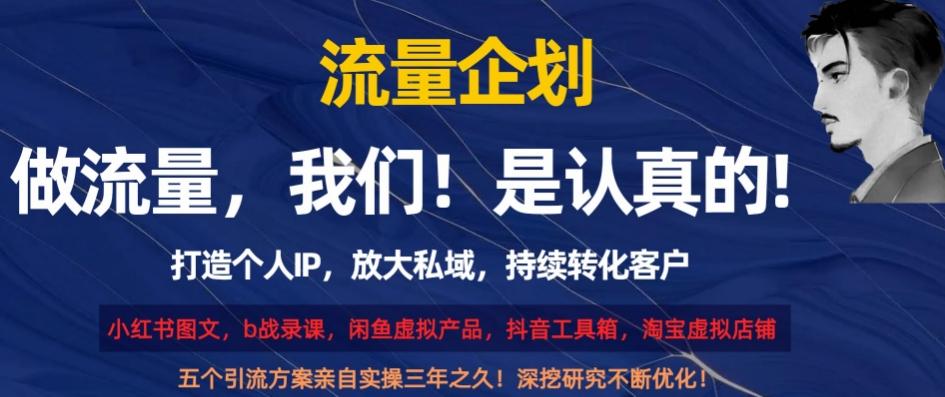 流量企划，打造个人IP，放大私域，持续转化客户【揭秘】-kk网创