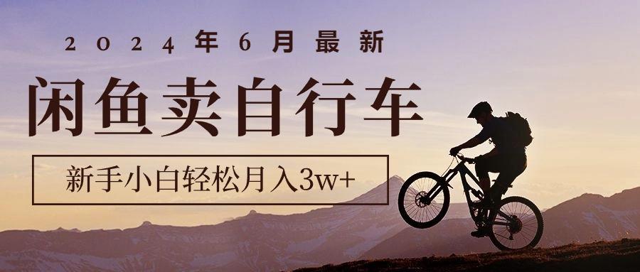 2024年6月最新闲鱼卖自行车，新手小白轻松月入3w+项目-kk网创