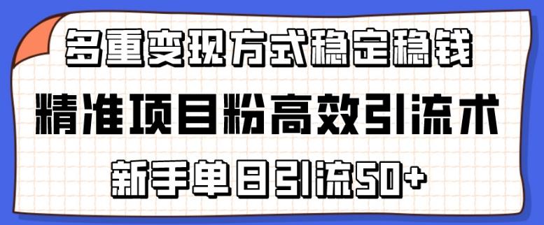 精准项目粉高效引流术，新手单日引流50+，多重变现方式稳定赚钱【揭秘】-kk网创