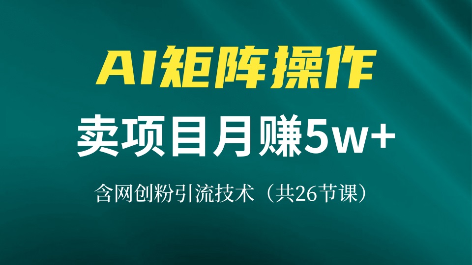 网创IP打造课，借助AI卖项目月赚5万+，含引流技术(共26节课-kk网创