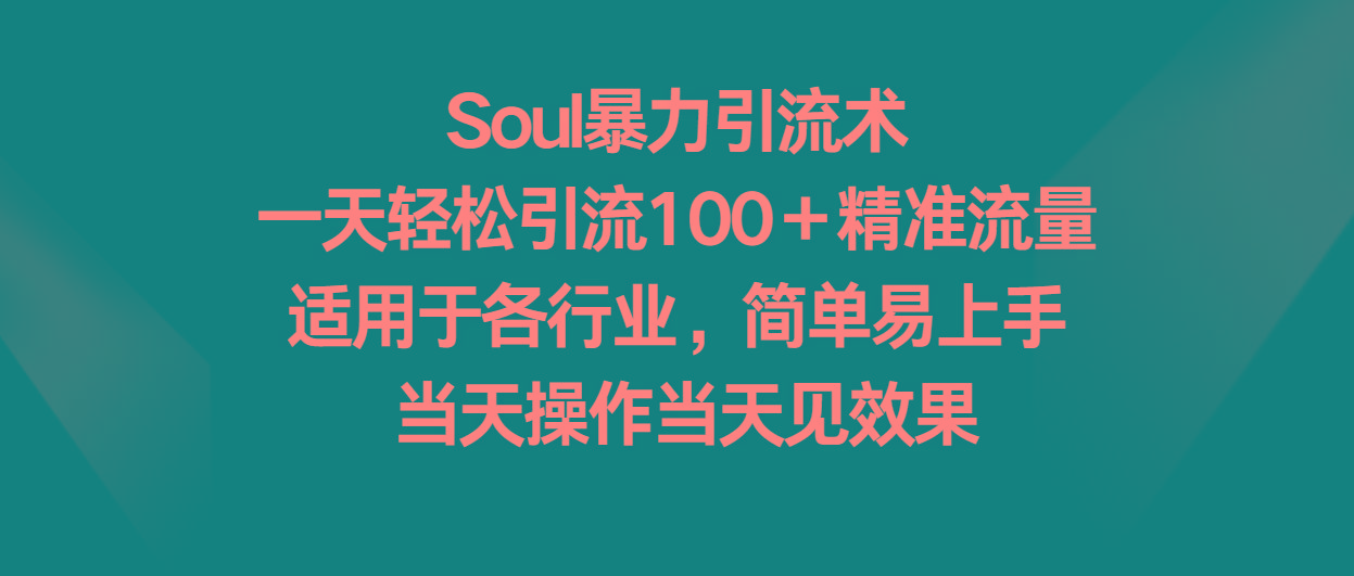 Soul暴力引流术，一天轻松引流100＋精准流量，适用于各行业，简单易上手！-kk网创