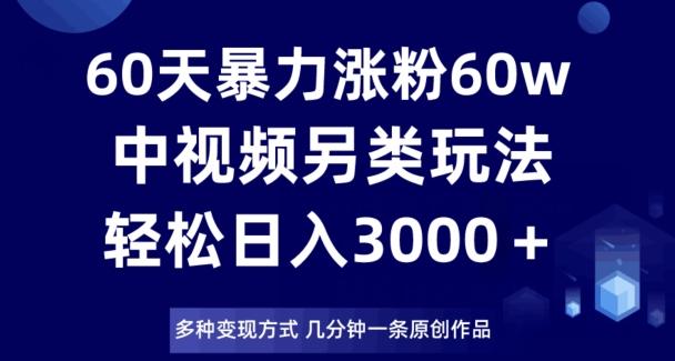 60天暴力涨粉60W，中视频另类玩法，日入3000＋，几分钟一条原创作品多种变现方式-kk网创