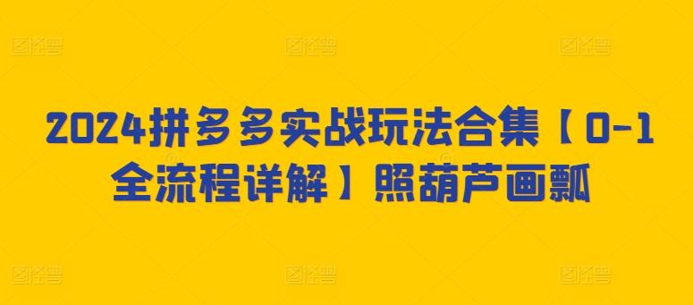 2024拼多多实战玩法合集【0-1全流程详解】照葫芦画瓢-kk网创