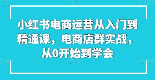 小红书电商运营从入门到精通课，电商店群实战，从0开始到学会-kk网创