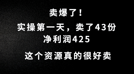 这个资源，需求很大，实操第一天卖了43份，净利润425【揭秘】-kk网创