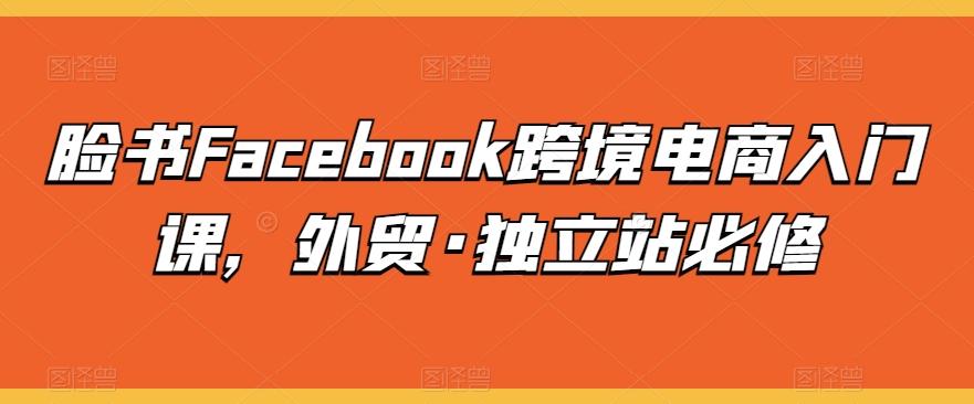 脸书Facebook跨境电商入门课，外贸·独立站必修-kk网创