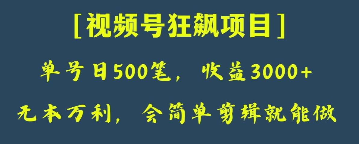 日收款500笔，纯利润3000+，视频号狂飙项目，会简单剪辑就能做【揭秘】-kk网创