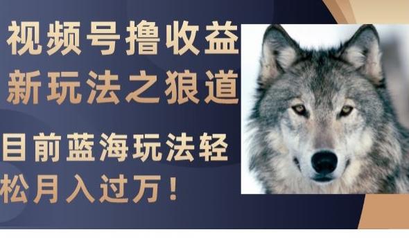 视频号撸收益新玩法之狼道，目前蓝海玩法，轻松月入过万【揭秘】-kk网创