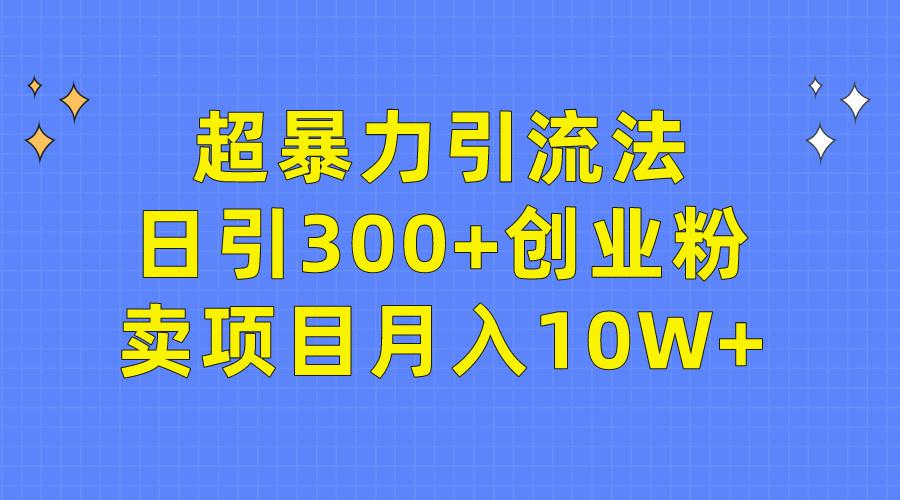 (9954期)超暴力引流法，日引300+创业粉，卖项目月入10W+-kk网创