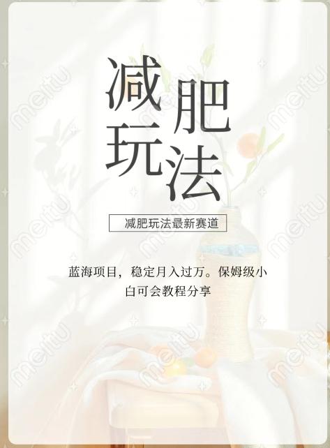 减肥流量主新玩法，轻松月入1W，可矩阵操作收入翻倍-kk网创