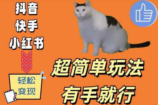 超简单玩法，有手就行，靠猫咪视频日入500+【揭秘】-kk网创