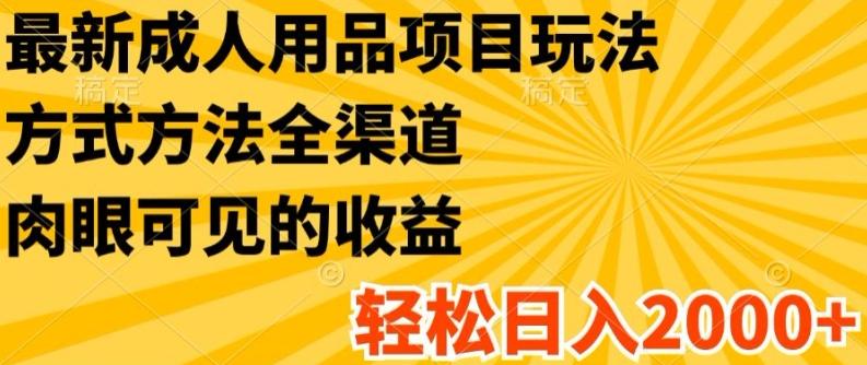 最新成人用品项目玩法，方式方法全渠道，轻松日入2K+【揭秘】-kk网创