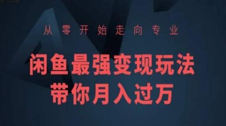 从零开始走向专业，闲鱼最强变现玩法带你月入过万-kk网创