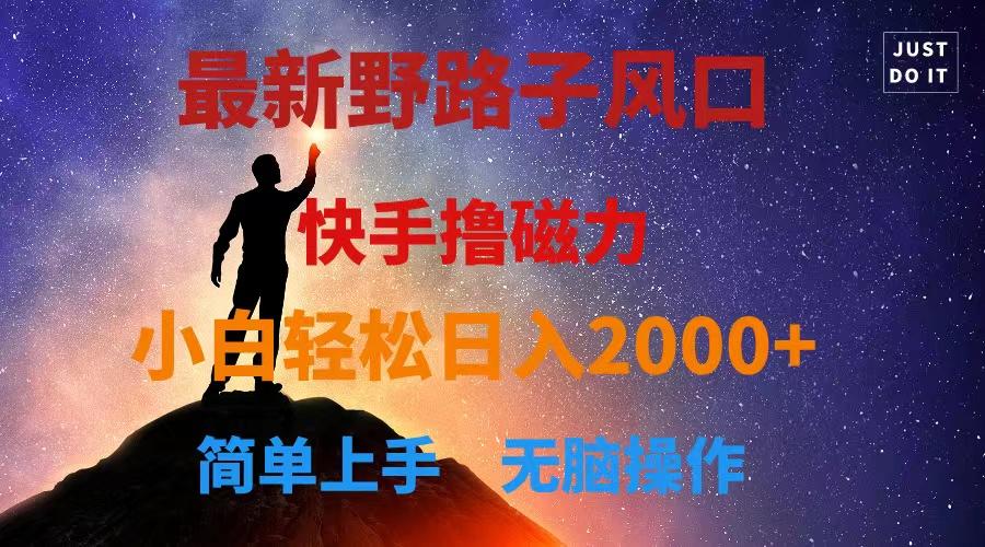最新风口！快手撸磁力，野路子，小白无脑操作日入2000+-kk网创